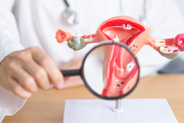 Dra. Thaline Neves explica o que é a desnutrição intrauterina e apresenta estratégias para evitá-la com segurança.