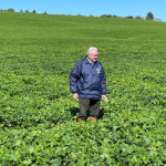 Aldo Vendramin analisa as tendências de tecnologia em mobilidade urbana que moldam o futuro.