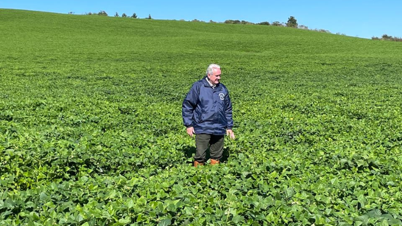 Aldo Vendramin analisa as tendências de tecnologia em mobilidade urbana que moldam o futuro.