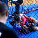 Duas lutadoras treinam MMA dentro de uma jaula de academia, enquanto um treinador observa.